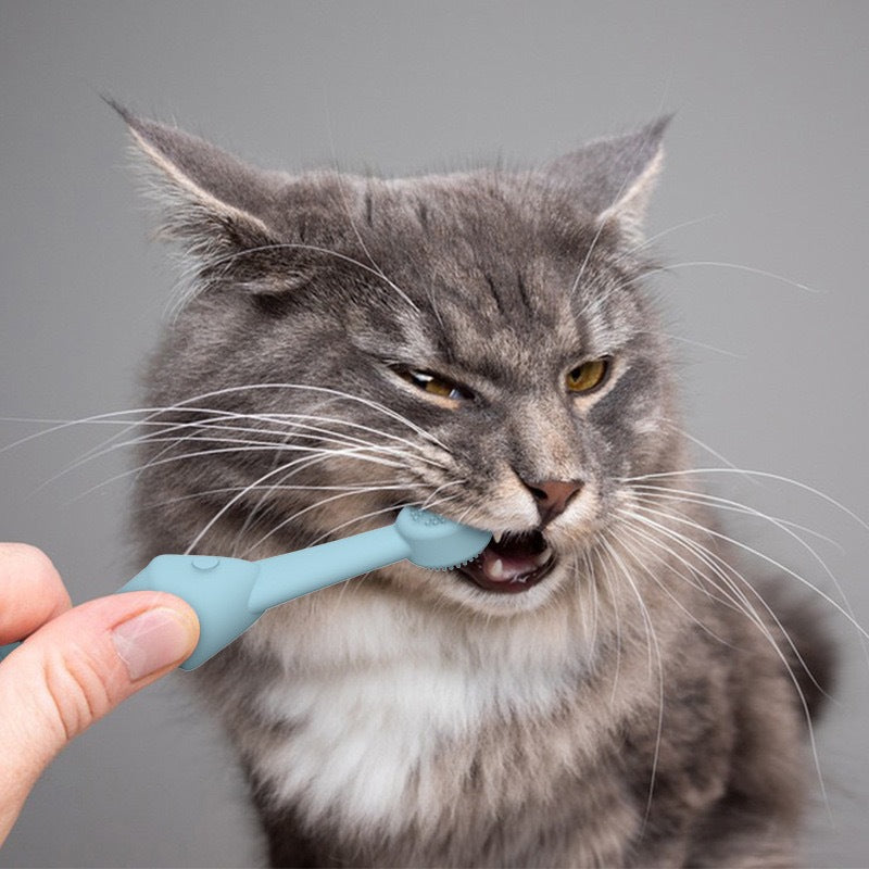 6 x Silicone Pet Toothbrush (3 Fish shape and 3 Bone shape) Healthy Teeth & Gums for Dogs & Cats